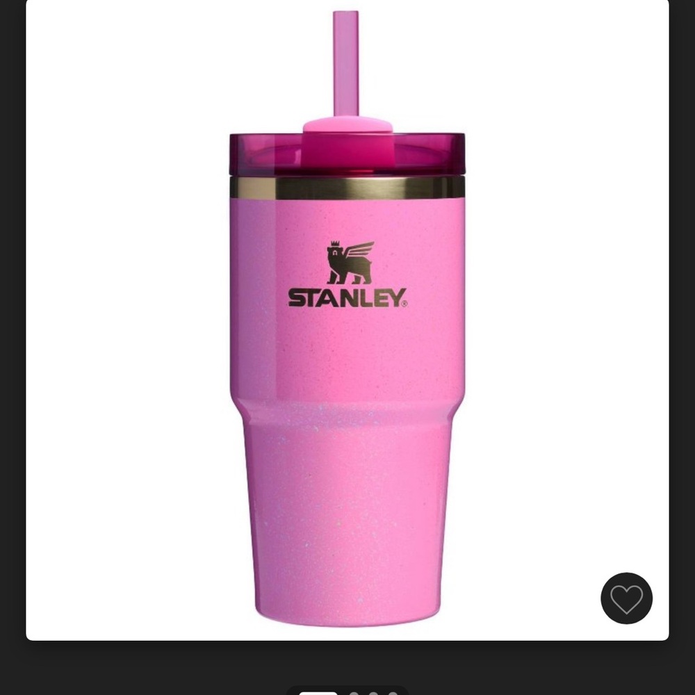 Wicked x Stanley 20oz quencher